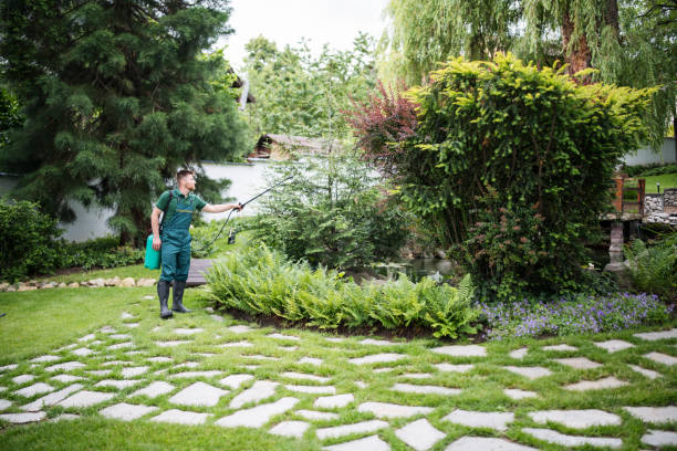 Best Best Pest Control Companies  in Frederick, OK