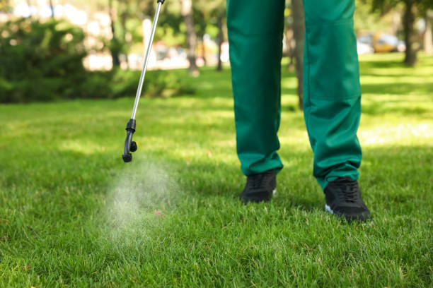 Best Emergency Pest Control  in Frederick, OK