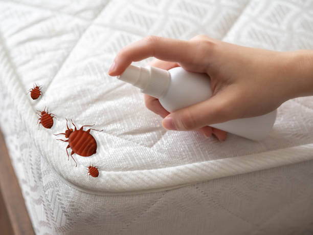 Best Affordable Pest Control Services  in Frederick, OK