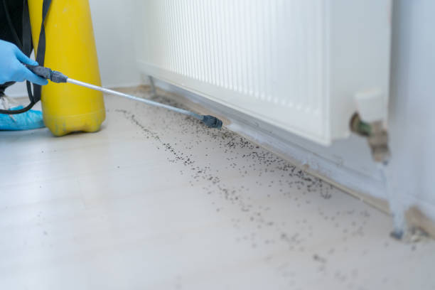 Best Pest Removal Services  in Frederick, OK