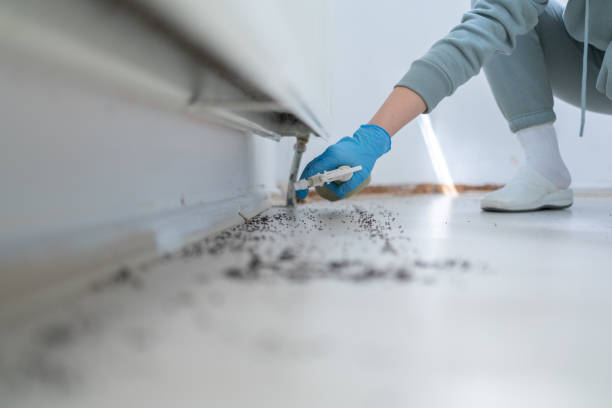 Pest Control Cost in Frederick, OK