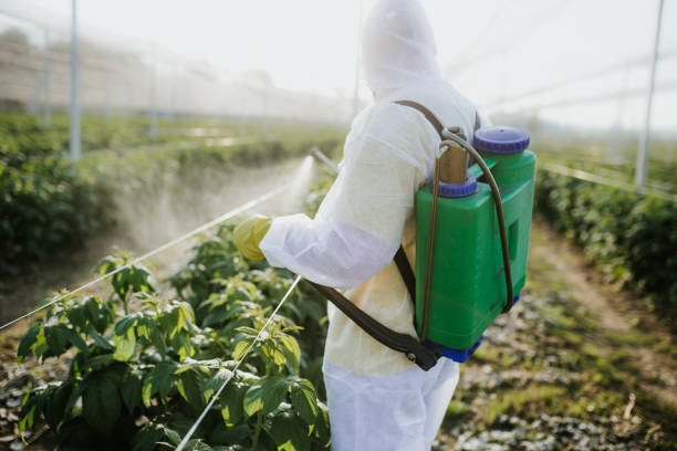 Best Ant Control Services  in Frederick, OK